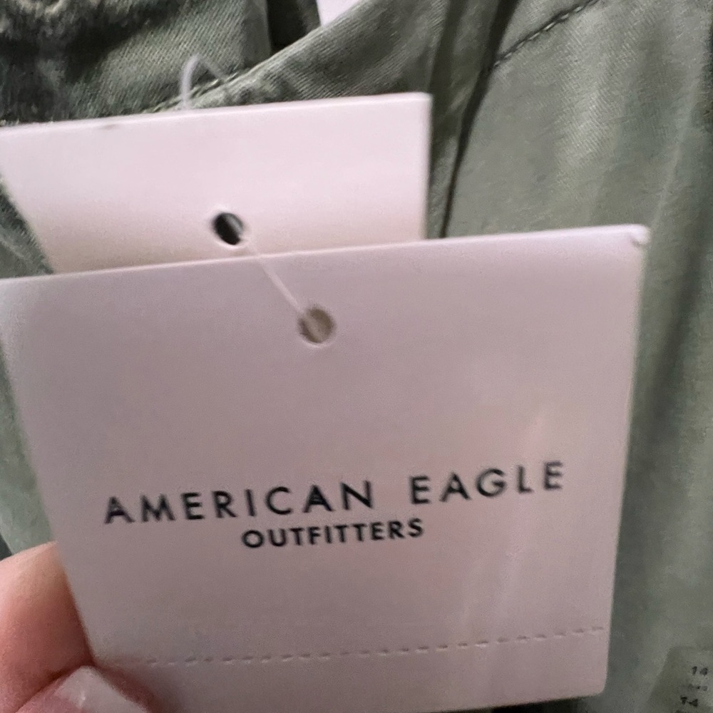 American Eagle Outfitters Sage Cargo Pants - Picture 8 of 8